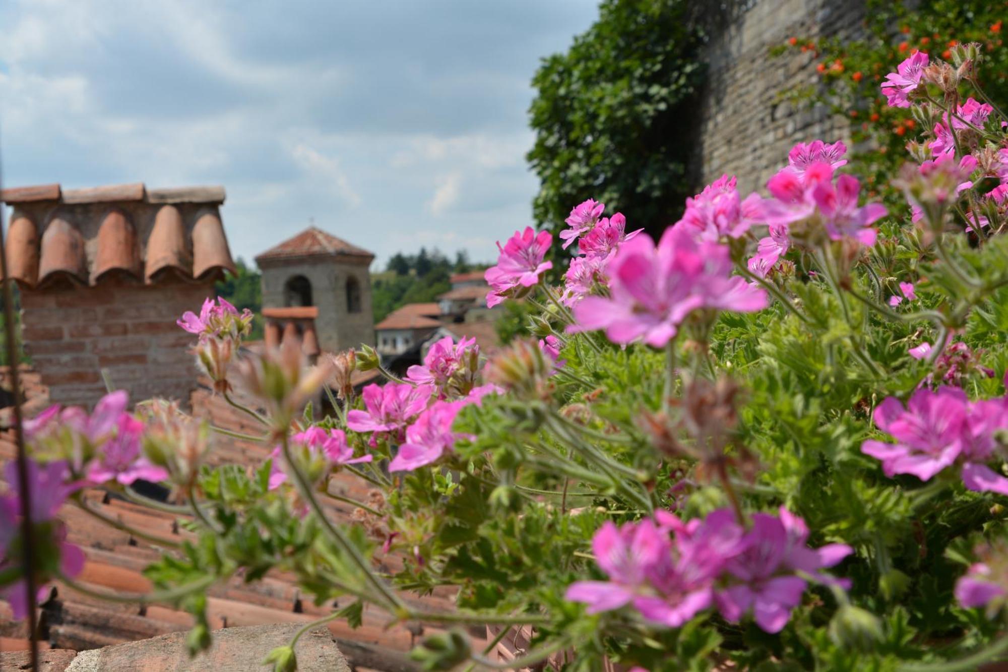Dimora Storico Romantica Il Sole E La Luna Cerretto Langhe Екстериор снимка